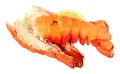 Two cooked Lobster Tails
