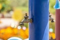 Two Copper Outdoor Water Faucets Blue Pipe Garden