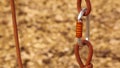 Two cord loops connected with a carabiner