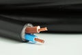 Two Core Stranded Insulated Copper Electrical Cable Closeup Macro View Royalty Free Stock Photo