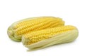 Two corn on cob Royalty Free Stock Photo