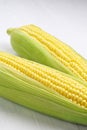 Two corn cob closeup Royalty Free Stock Photo