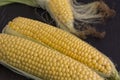 Two corn cob with yellow grains. Black background