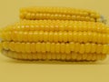 Two corns with a yellow background