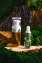 Skincare routine pipette bottles. Retinol, Hyaluronan, Antioxidant treatment Serum on green forest background Royalty Free Stock Photo