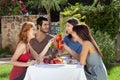 Two couples celebrating outdoors, toasting.