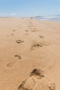 Two couples, footprints in the sand of the coast of the atlantic sea, they were walking on the beach, far away a hill Royalty Free Stock Photo