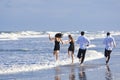 Two Couples, Having Fun On A Beach Royalty Free Stock Photo