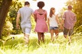 Two couples walking together in the countryside, back view