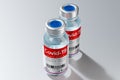 Two covid-19 / SARS-CoV-2 / coronavirus vaccine ampoules isolated on grey background Royalty Free Stock Photo