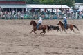 Two cowboys bulldogging at rodeo Royalty Free Stock Photo