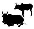 Two Cows silhouette set-vector