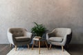 Two cozy grey armchairs standing on white carpet