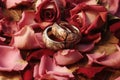 two cracked wedding rings nestled in dried rose petals Royalty Free Stock Photo