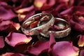 two cracked wedding rings nestled in dried rose petals Royalty Free Stock Photo