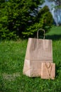 Two craft paper bags stand on a green lawn in a park. No people.