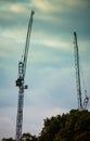 Two cranes in hyde park London Royalty Free Stock Photo