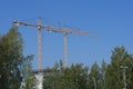 Two cranes stands in the direction of the wind