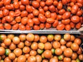 Two crates of fresh Italian yellow and red tomatoes Royalty Free Stock Photo
