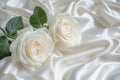 Two cream white roses on luxury elegant white silk background with draperies Royalty Free Stock Photo
