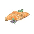 Two croissants bake puff pastry color flat design on white background.