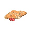 Two croissants bake puff pastry color flat design on white background.