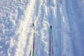 Two cross-country skis stand on the track in the snow on a sunny day