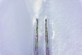 Two cross-country skis stand on white fresh snow