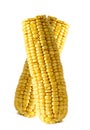 Two crossed Corn on white background Royalty Free Stock Photo