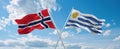 two crossed flags Uruguay and Norway waving in wind at cloudy sky. Concept of relationship, dialog, travelling between two