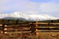 Two crows on fence with front range in the background Royalty Free Stock Photo