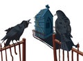Two crows on portal are talking Royalty Free Stock Photo