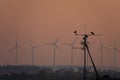 two crows are sitting on the antenna. wind power stations Royalty Free Stock Photo