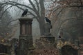Two crows sitting on top of headstones in a cemetery, observing their surroundings, An abandoned cemetery with crows perched on