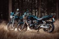 two cruiser motorbikes in the forest Royalty Free Stock Photo
