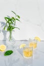 Two crystal glasses with yellow cocktails decorated with lemon. Vase with fresh greenery and glass goblets with green tea, alcohol Royalty Free Stock Photo