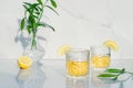 Two crystal glasses with yellow cocktails decorated with lemon. Vase with fresh greenery and glass goblets with green tea, alcohol Royalty Free Stock Photo