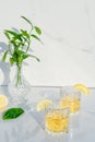 Two crystal glasses with yellow cocktails decorated with lemon. Vase with fresh greenery and glass goblets with green tea, alcohol Royalty Free Stock Photo