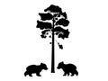 Two cub bears near tree silhouette animal