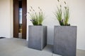 Two cubic concrete flower pots at front door of a house