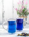 Two cup of Butterfly pea tea for healthy drinking Royalty Free Stock Photo