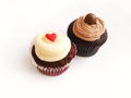 Two cup cakes Royalty Free Stock Photo