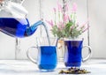 Two cup and teapot butterfly pea flower blue tea. Healthy detox herbal drink