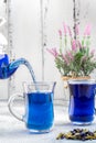 Two cup and teapot butterfly pea flower blue tea. Healthy detox herbal drink Royalty Free Stock Photo