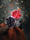 Two cups with black and red raspberries