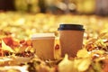 Two cups of coffee in the autumn golden leaves background Royalty Free Stock Photo