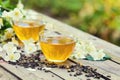 Two cups of green tea with jasmine flowers Royalty Free Stock Photo