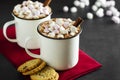 Two cups of hot chocolate, cocoa or warm drink with marshmallows and sweet cookies on dark background Royalty Free Stock Photo