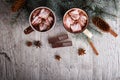 Two cups of sweet cocoa with marshmallows next to a pine branch on a table background. Winter hot chocolate. Royalty Free Stock Photo