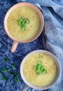 Two cups of Potato leek soup Royalty Free Stock Photo